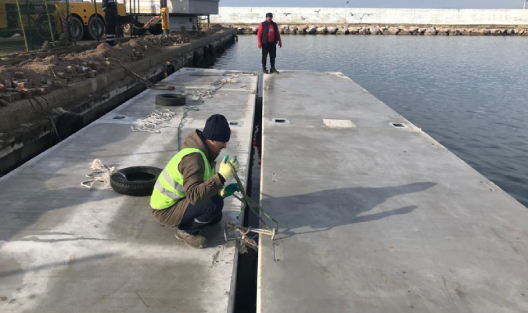 Animal Download and Embark Floating Platform